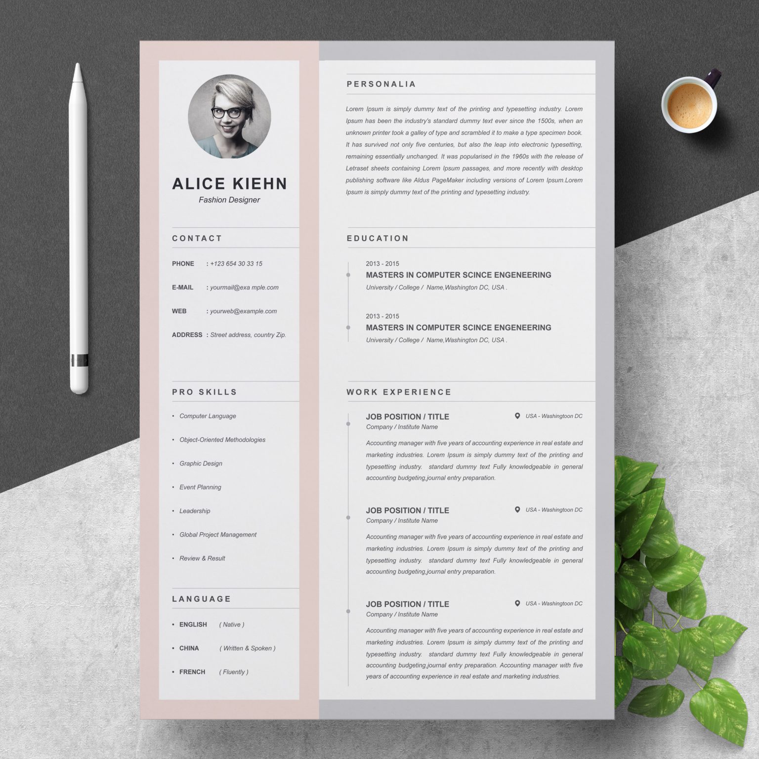 30+ Professional and Creative Resume Templates for Every Field [in 2020 ...