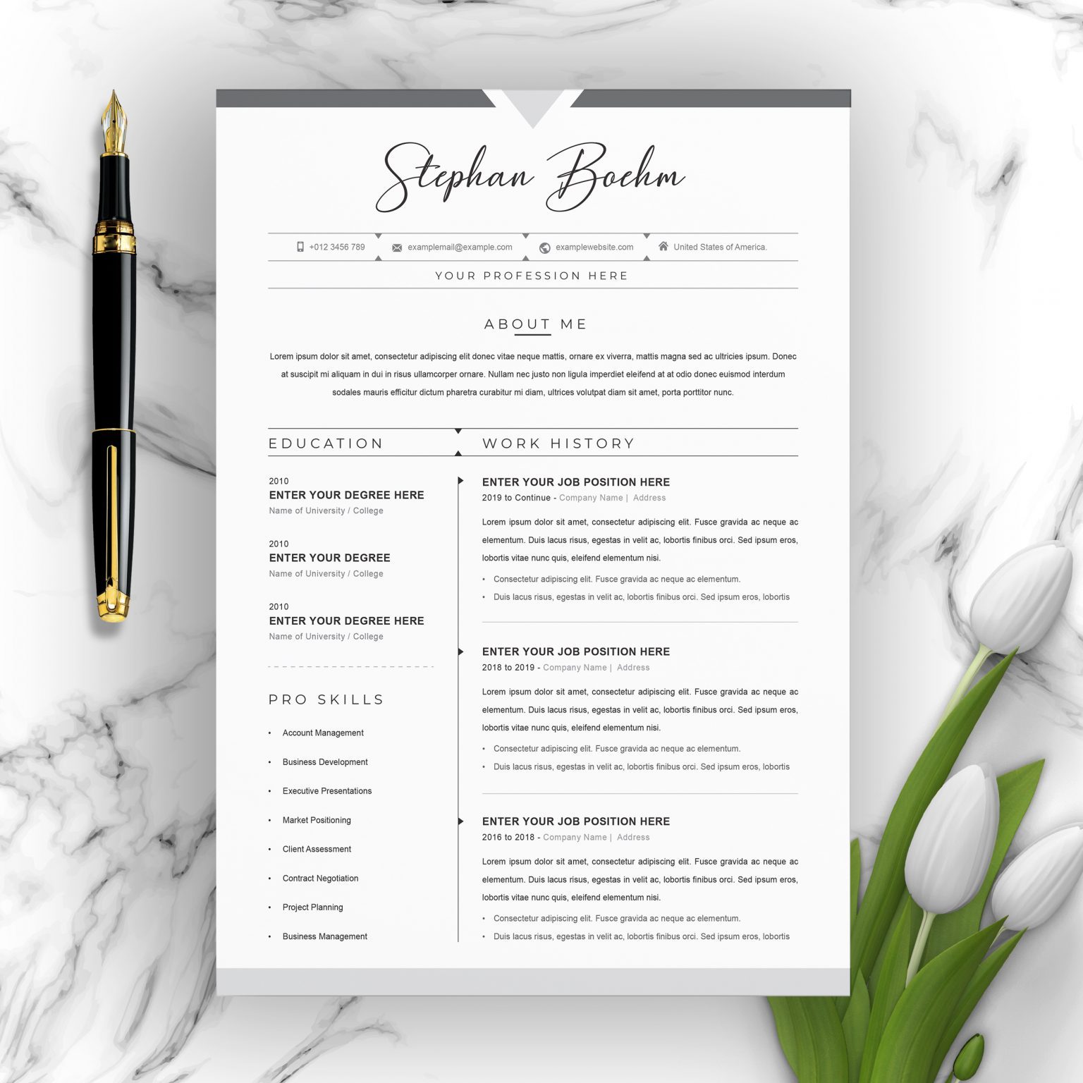 21-best-contemporary-new-styles-resume-cv-for-2020-2021