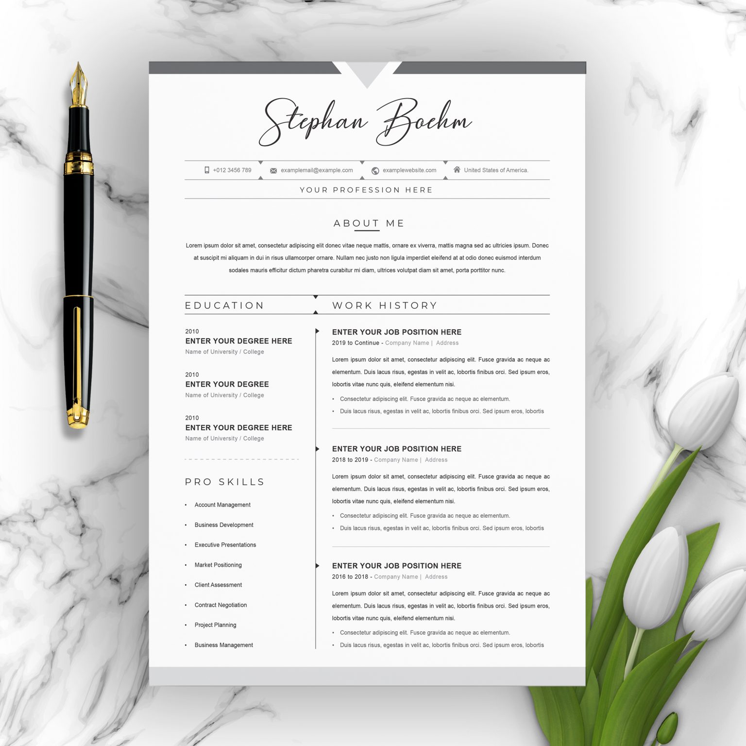 professional modern resume templates