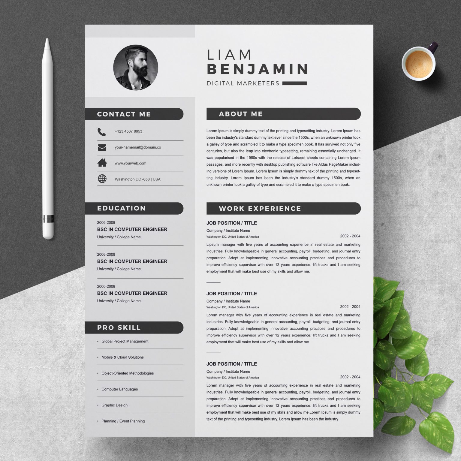 21+ Best Contemporary (New Styles) Resume CV (For 2020/2021)