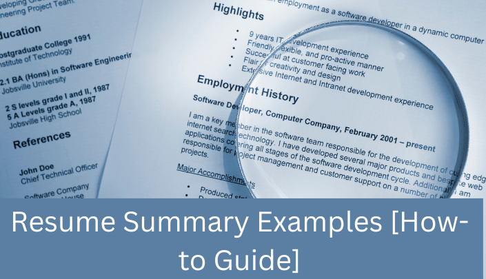 Resume Summary Examples