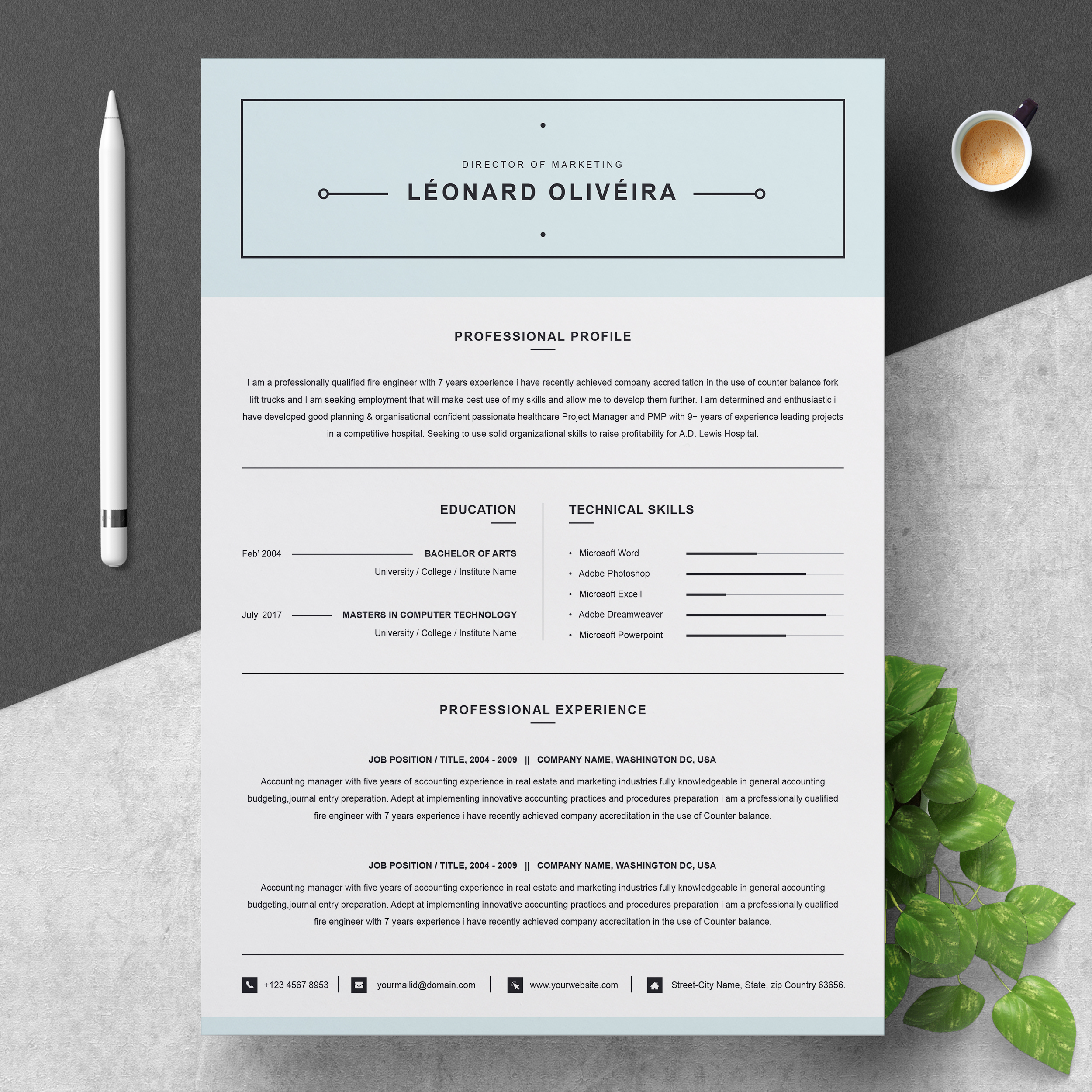 Buy designer resume