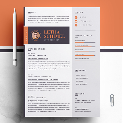 Professional & Modern Resume Formats - ResumeInventor