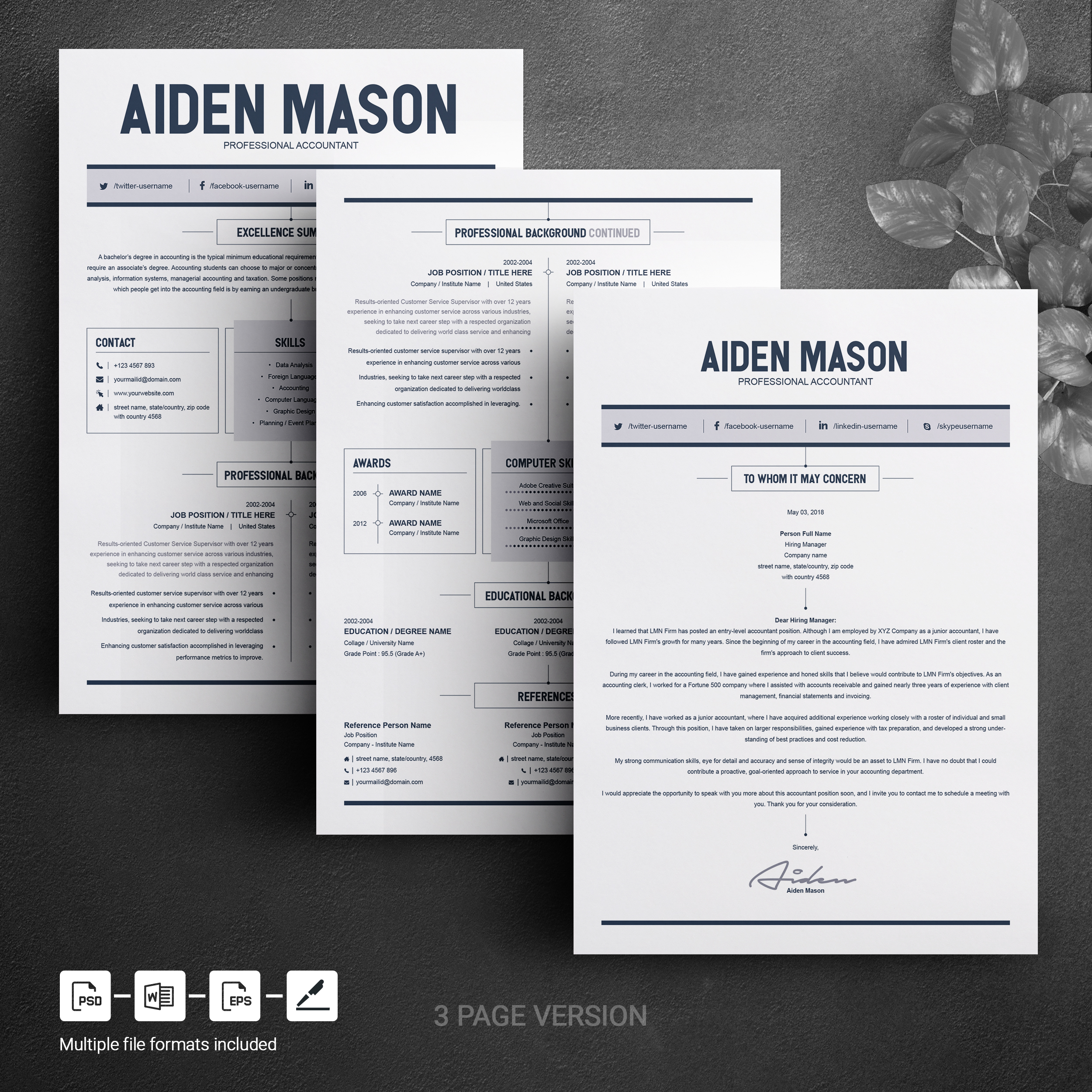 2 page resume template free download word