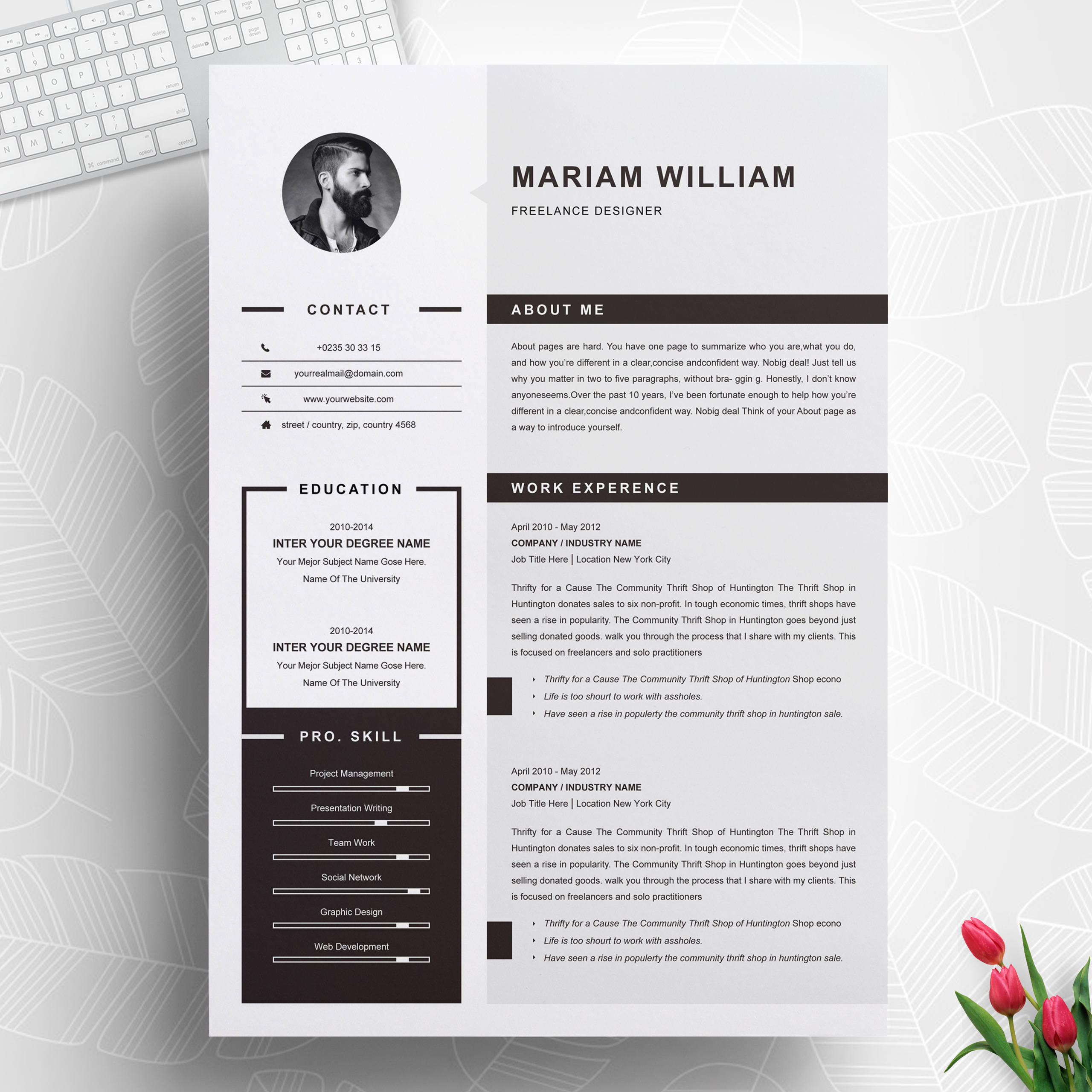 Professional Resume Template Project Manager Resume Cv