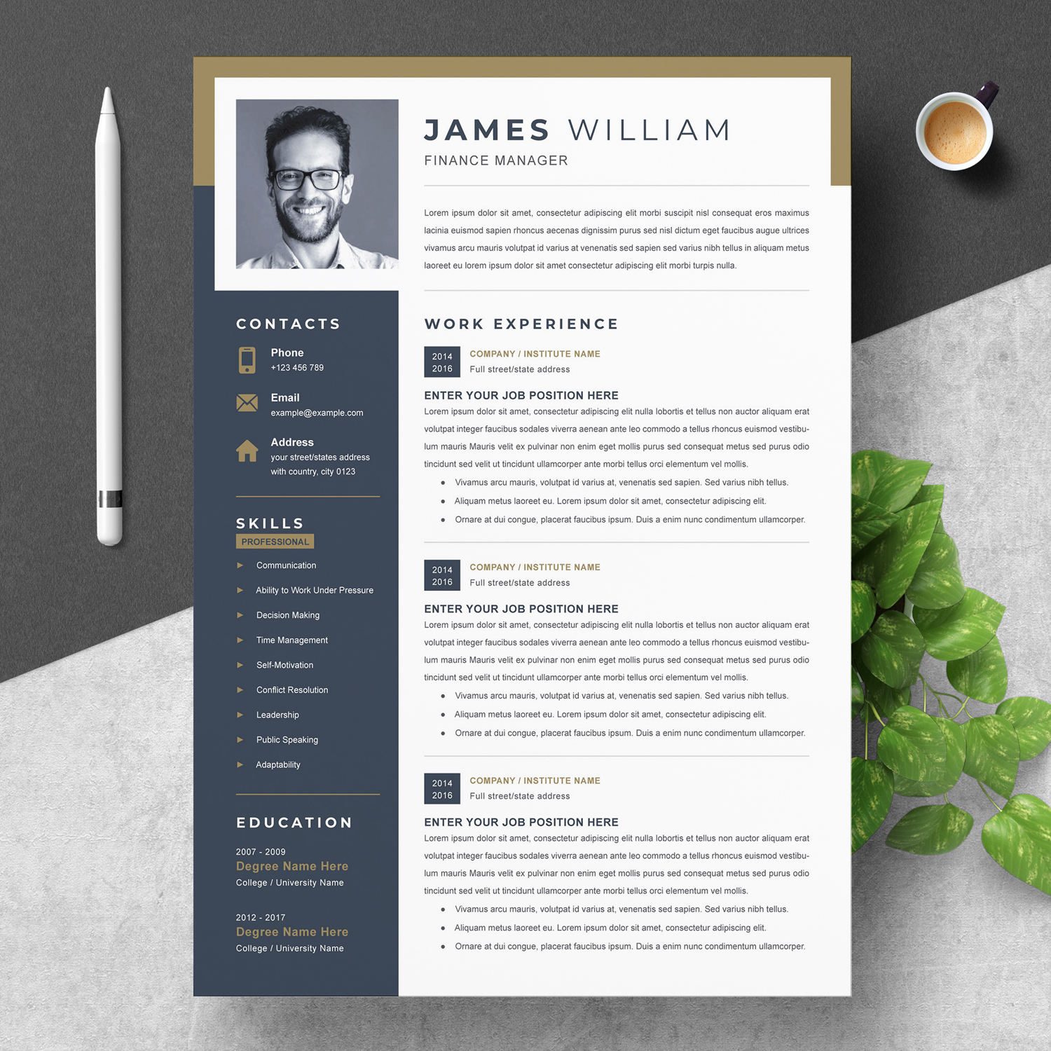 Free Professional Cv Template Word from resumeinventor.com