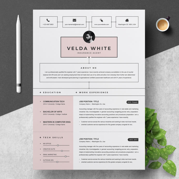 Insurance Agent Resume Template 