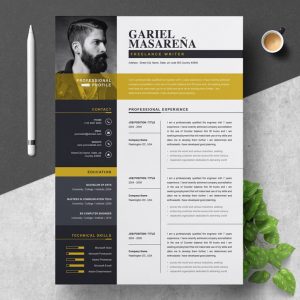 Professional Resume Template for Word