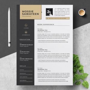 Creative Curriculum Vitae Template - ResumeInventor