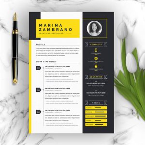 Professional Resume Template for Word | CV Resume + Cover Letter ...