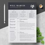 Curriculum Vitae IT Manager Template - ResumeInventor