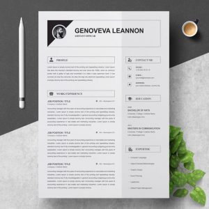 Chief Product Officer Resume