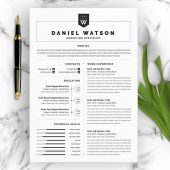 Laravel Developer Resume Template - ResumeInventor