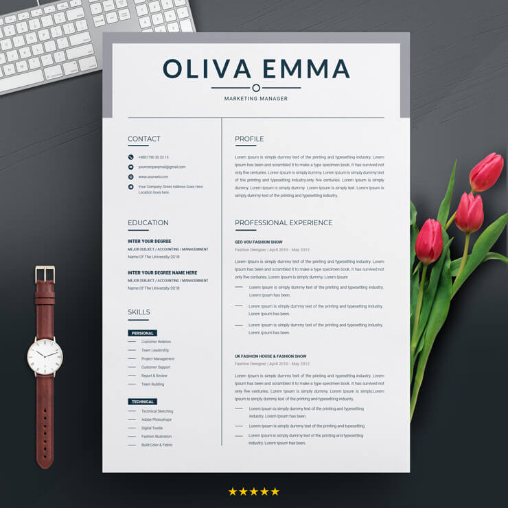 Product Marketing Manager CV Template