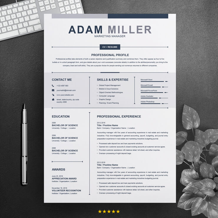 Digital Marketing Account Manager Resume Template