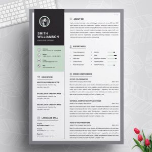 Customer Service Executive Resume Template - ResumeInventor