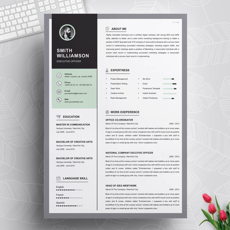 Professional Executive Officer Resume Template