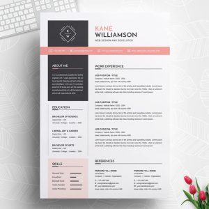 Junior Front End Developer Resume Template - Resume Inventor