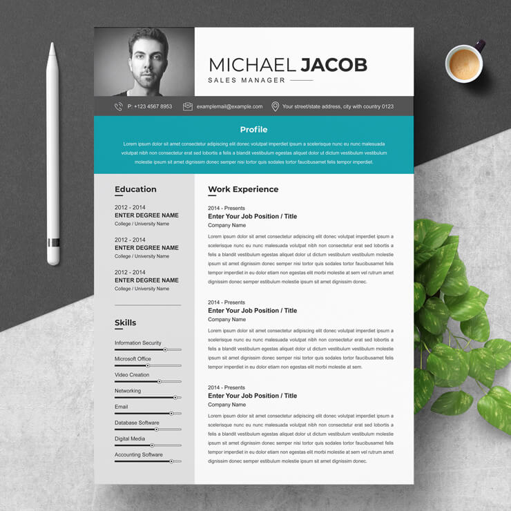 Sales Manager Resume Template
