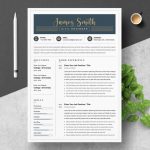 Civil Engineer Resume Template - ResumeInventor