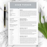 IT Support Manager Resume Template - ResumeInventor