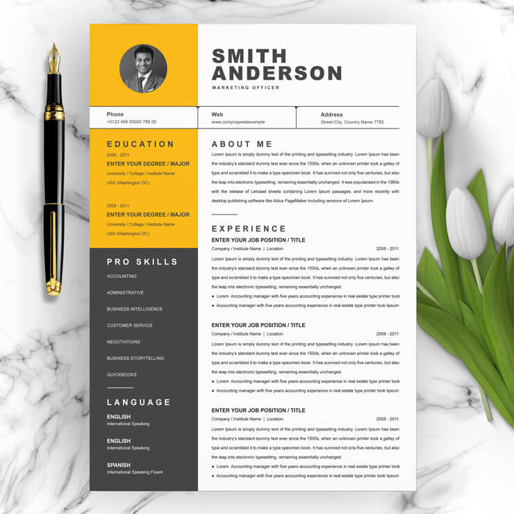 Professional Product Marketing Officer CV Template