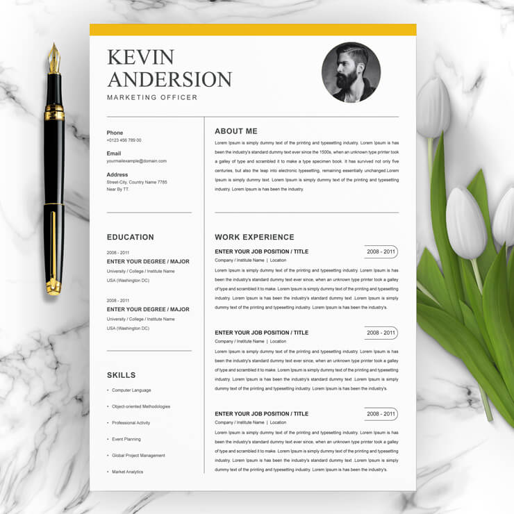 Chief Marketing Officer Resume Template