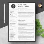 Best Resume Templates 2022 with Multiple File Formats - ResumeInventor