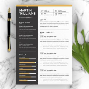 Professional resume template 2023 - ResumeInventor