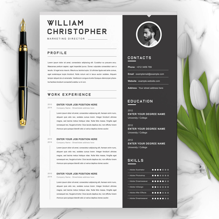 Sales and Marketing Director Resume Template