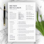 Executive Officer Resume Template - Resumeinventor