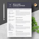 Top Minimal Resume Template 2022 - ResumeInventor