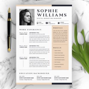 New Best Professional Resume 2022 - ResumeInventor