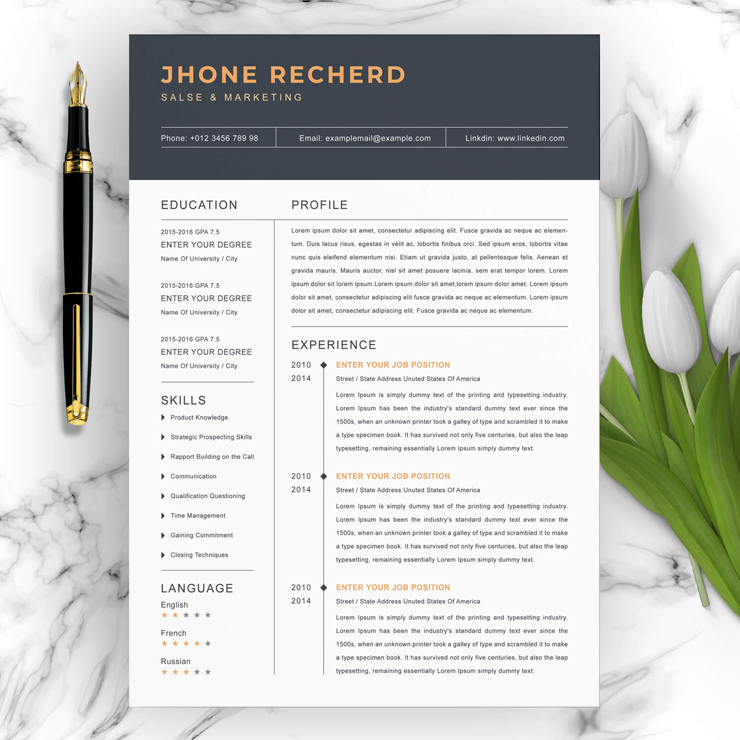 Sales and Marketing Resume Template
