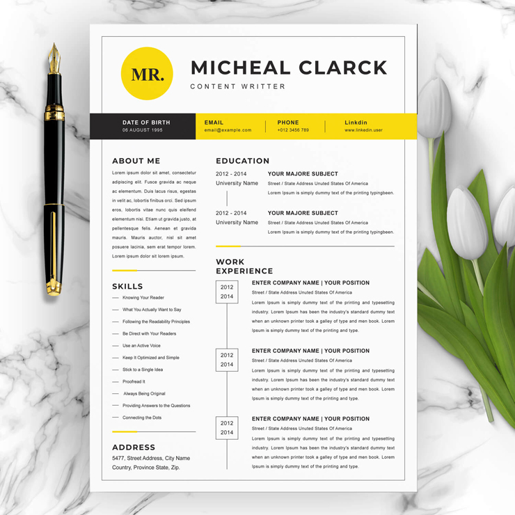 Clean Content Writer Resume Template