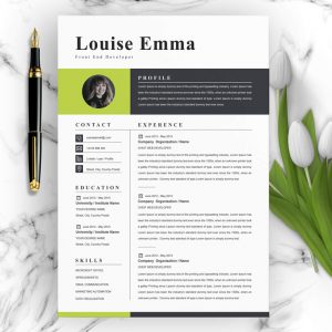Front End Web Developer Resume