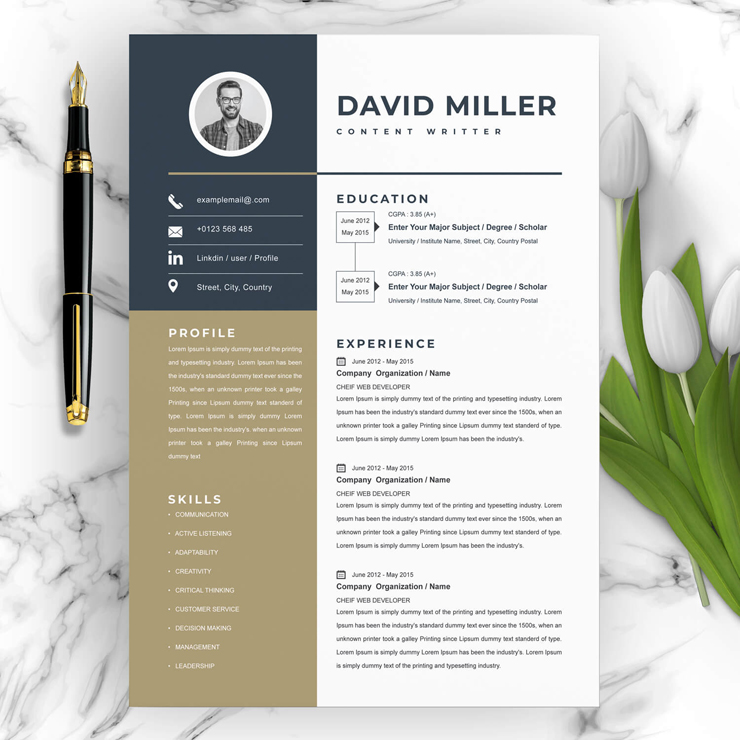 New Content Writer Resume Template