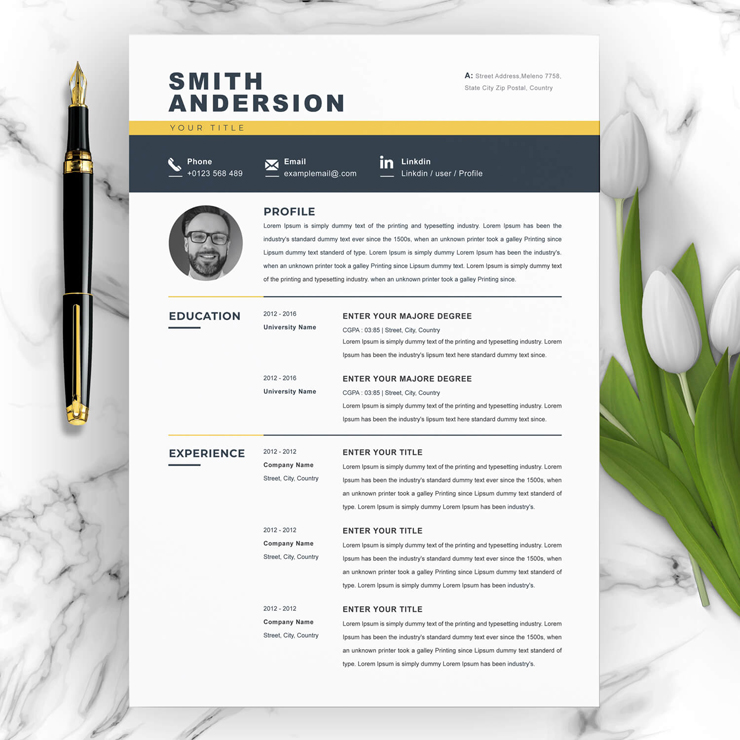 New Professional Resume Template 2022
