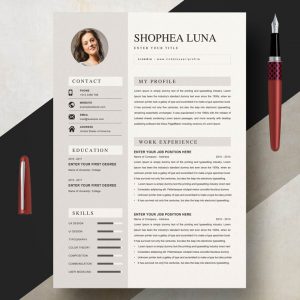 Senior Software Architect CV Template - ResumeInventor