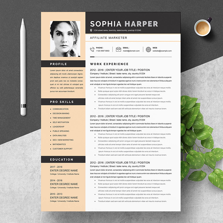 affiliate marketer resume template