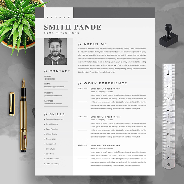 Clean Resume template 2023