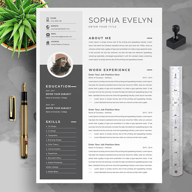 Professional resume template 2023