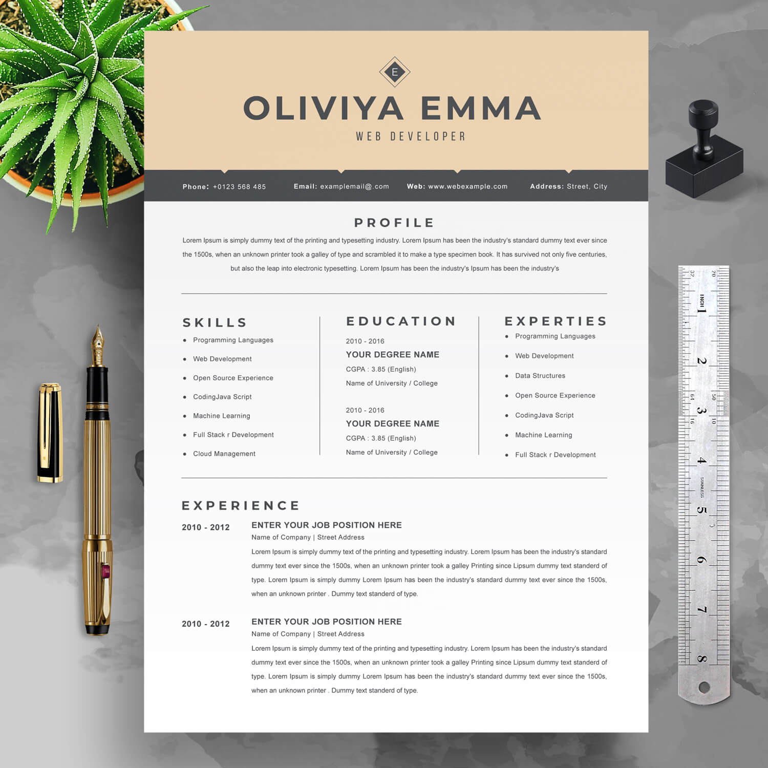 Junior Web Developer Resume Template: Example & Writing Tips - Resume ...